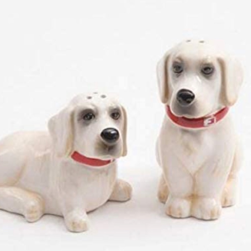 🌺Pre-loved Pioneer Woman Lucy & Duke Labrador Retriever Salt & Pepper Shakers - Picture 4 of 7